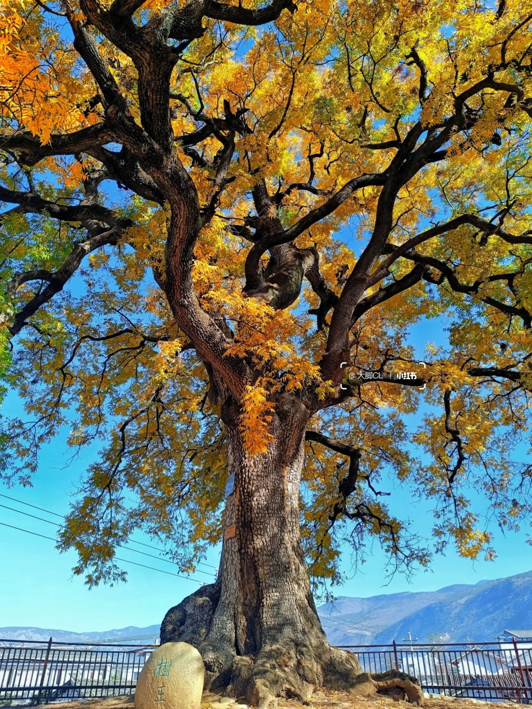 我找到了大理彩虹森林❗正是橙黄橘绿时_6_大脚CL_云南-来自52tours 我爱旅游网